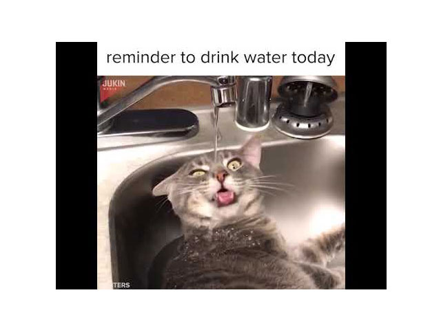 Drink Water